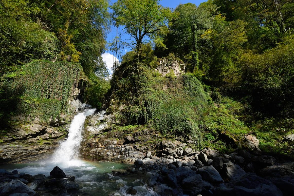 Лагодехский национальный парк