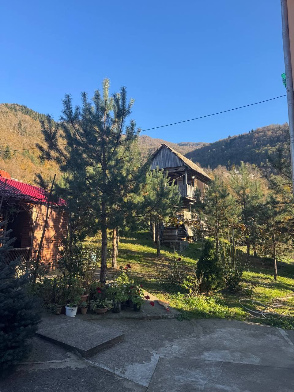 Дом грузинской семьи Ревази Шавишвили в деревне Вайо в регионе Аджария