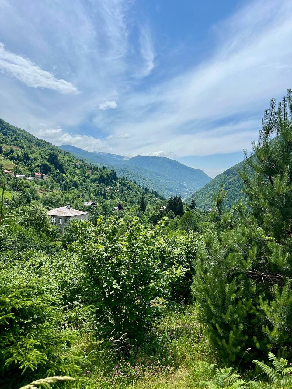 Семья Ревази Шавишвили в деревне Вайо в регионе Аджария