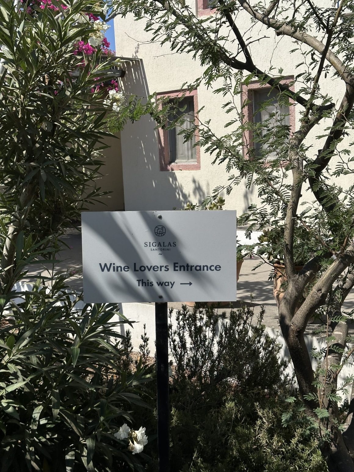 santorini wine estate