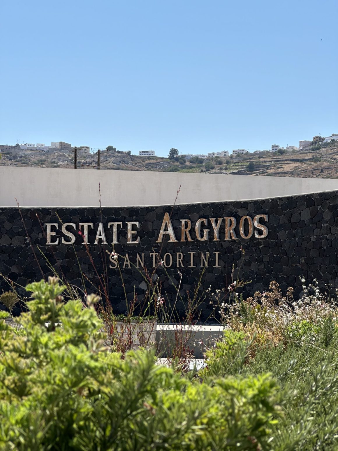Estate Argyros