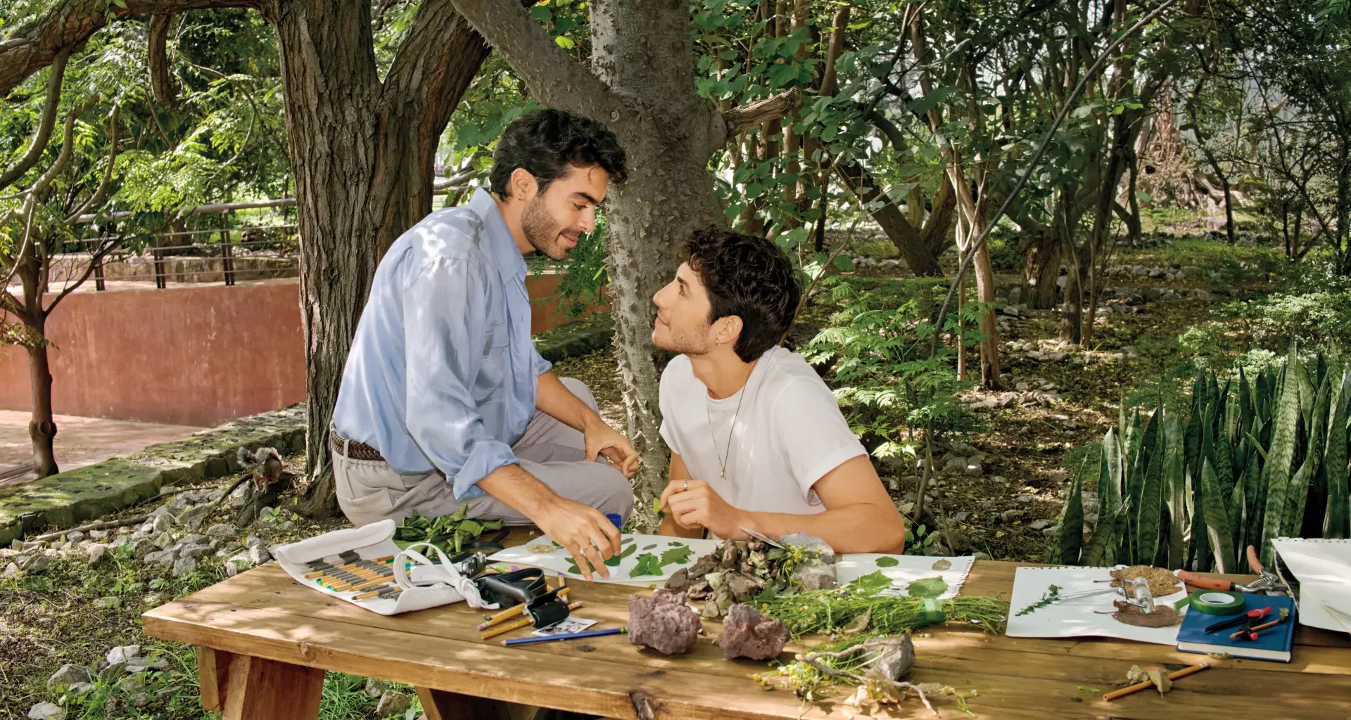 Best Online Dating Apps