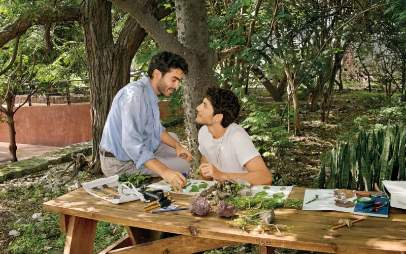 Best Online Dating Apps