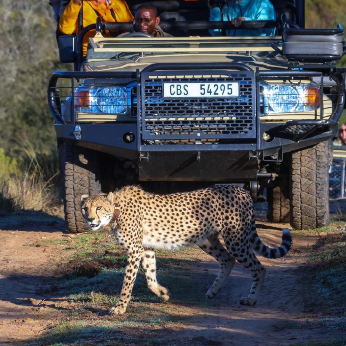 Botlierskop Private Game Reserve