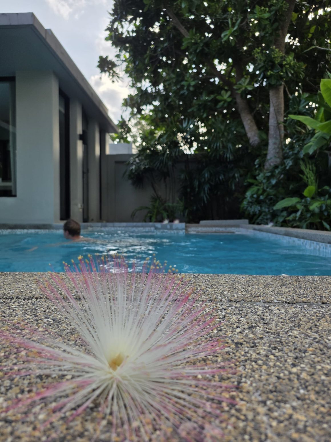 Pool villa Aleenta Resport Hotel in Phang Nga