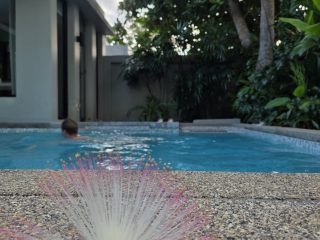 Pool Villas Thailand