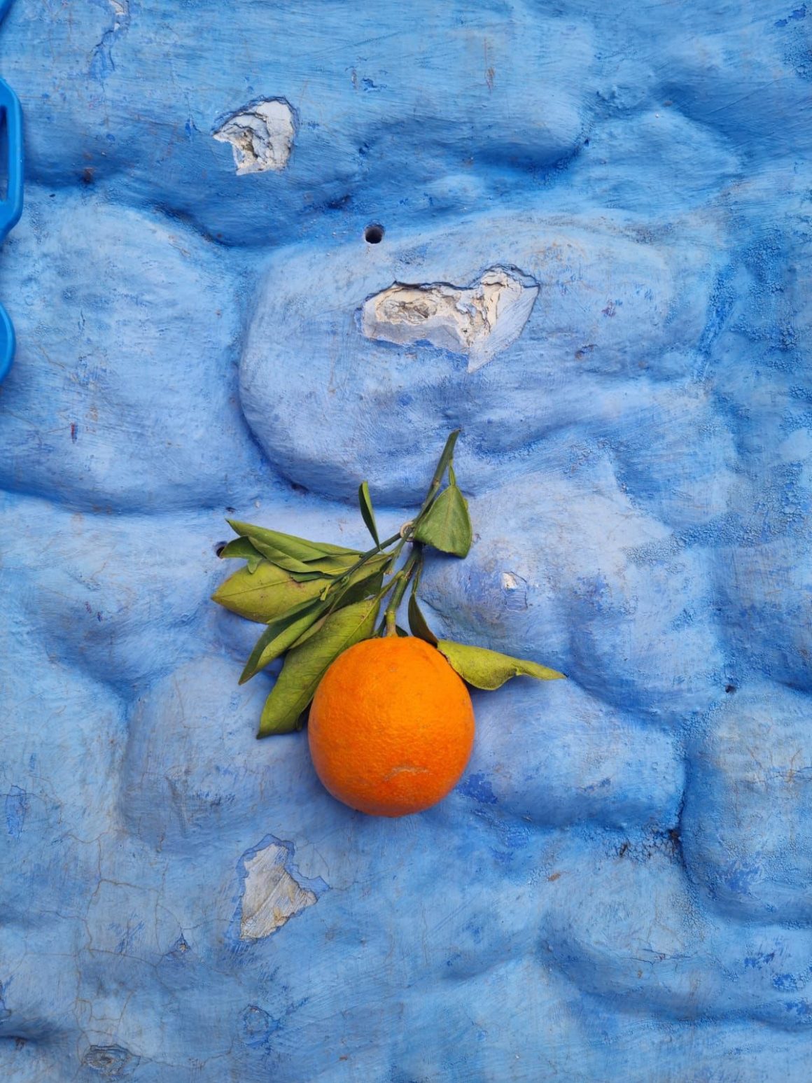 An orange against the blue backdrop of a city wall