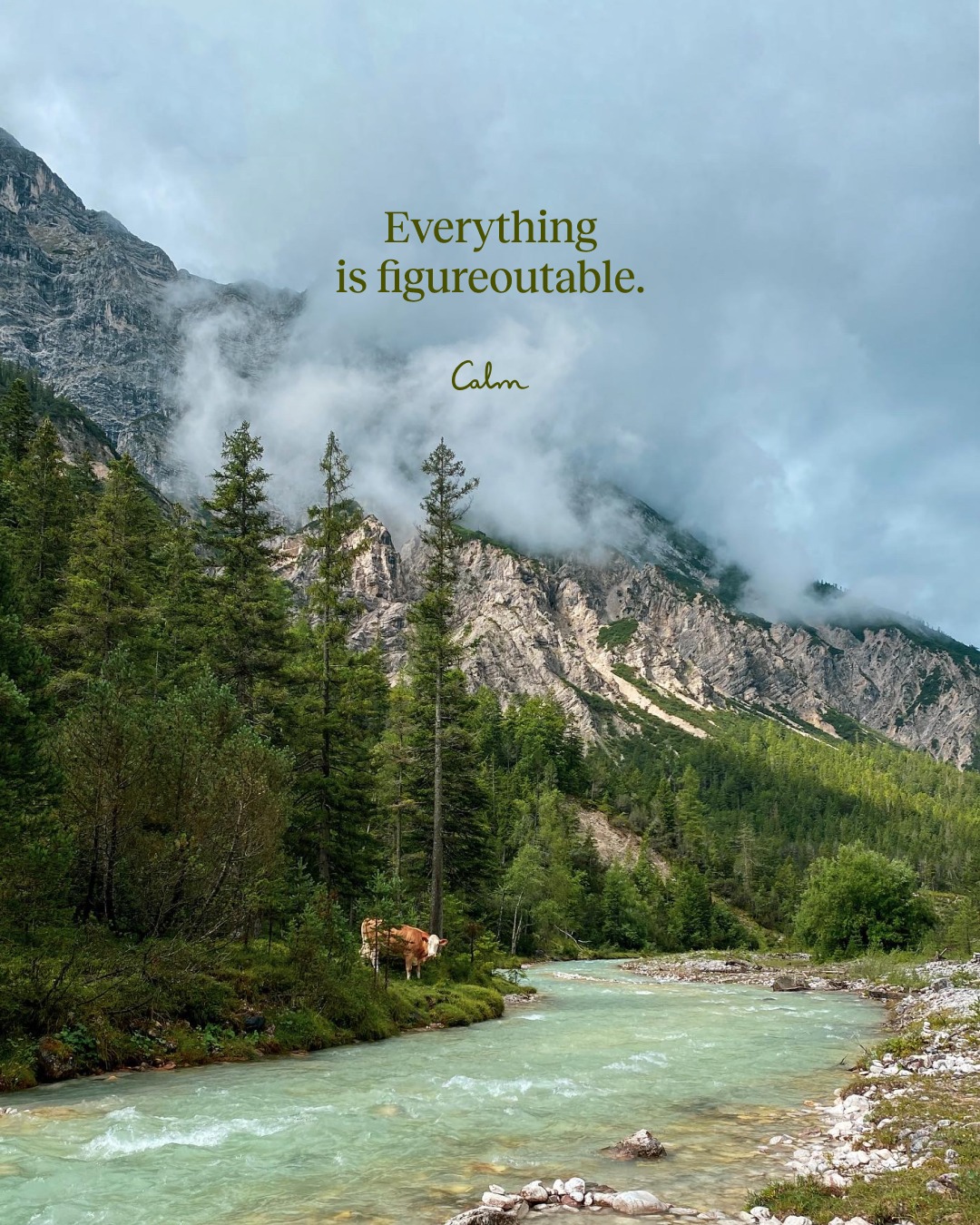 Calm app slogan