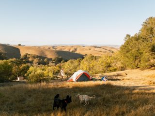 Hipcamp