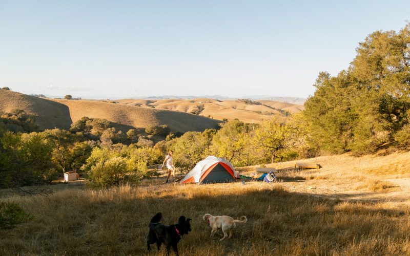 Hipcamp