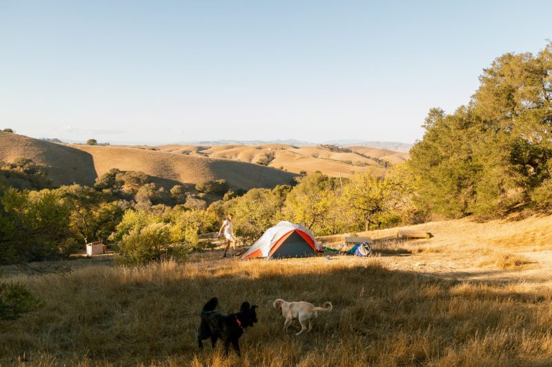 Hipcamp