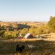 Hipcamp