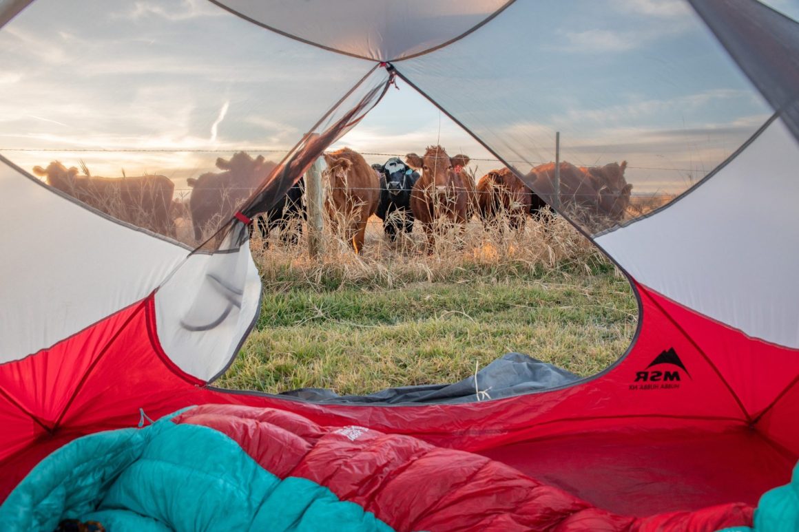 Hipcamp review