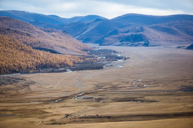 Autumn valley in Mongolia with a winding river and grazing livestock in a vast mountain landscape.