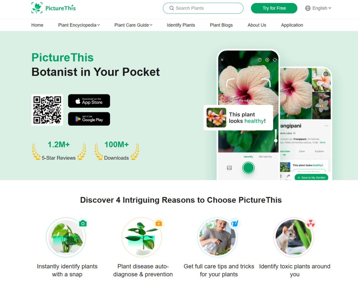 PictureThis app review