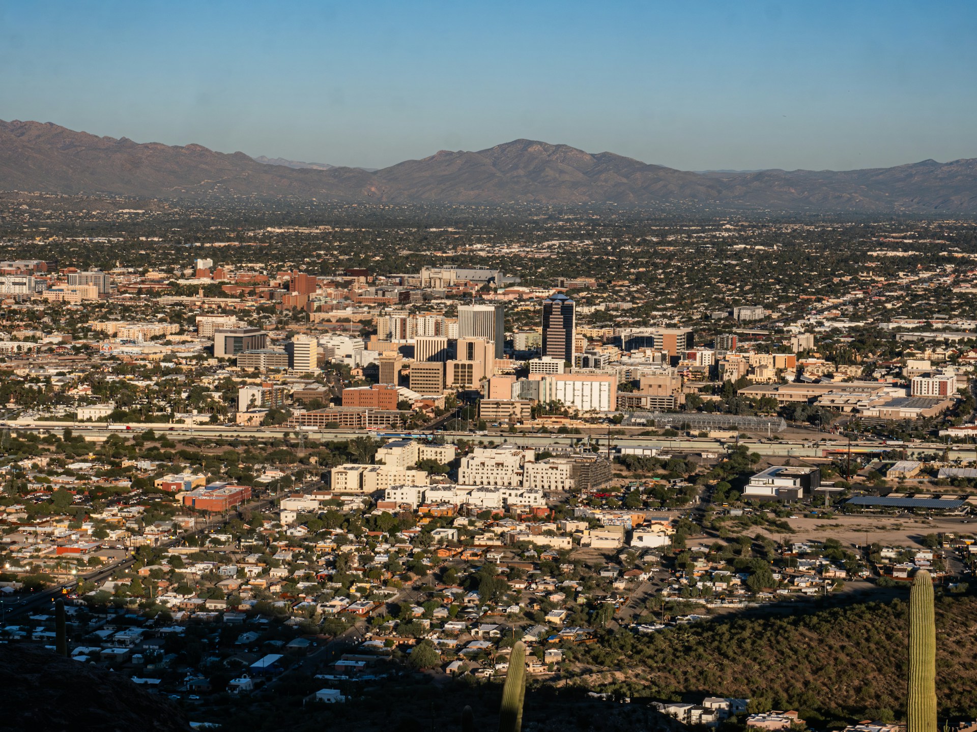Arizona curated guide
