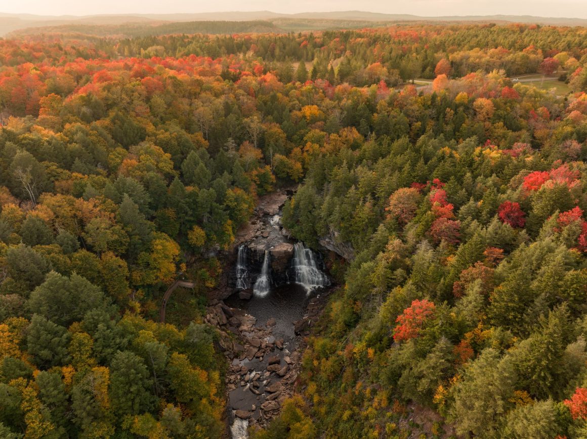 Blackwater Falls State Parks