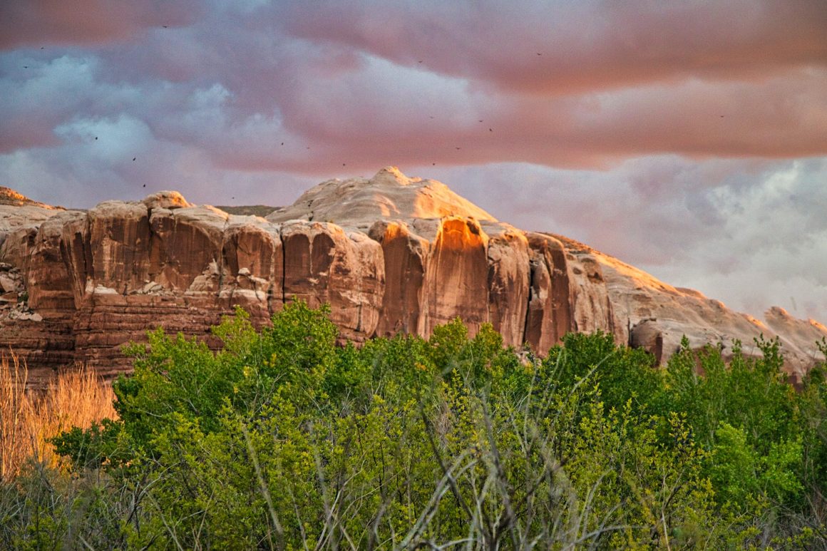Bluff, Utah