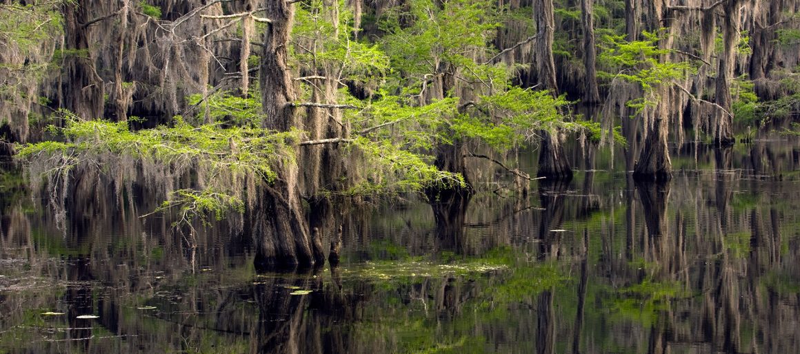 Caddo Lake