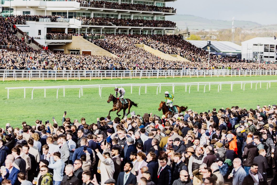 Cheltenham racecource