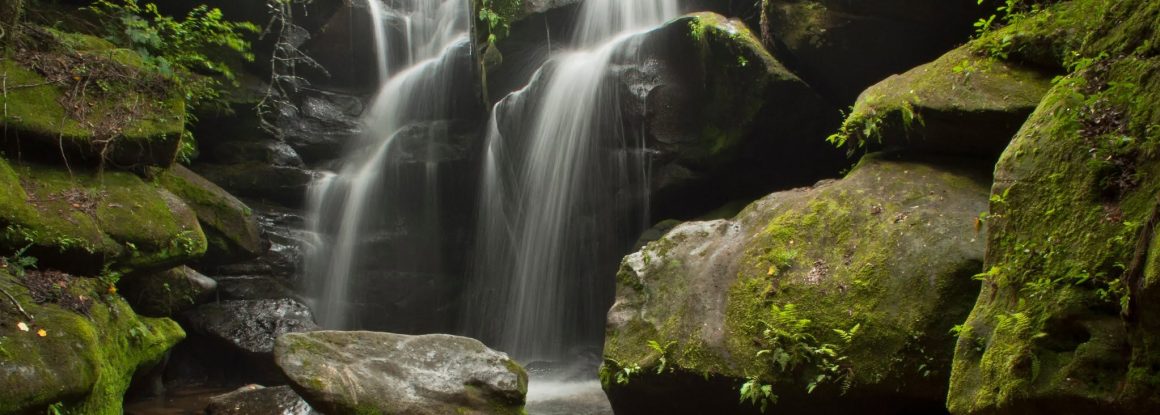 Dismals Canyon