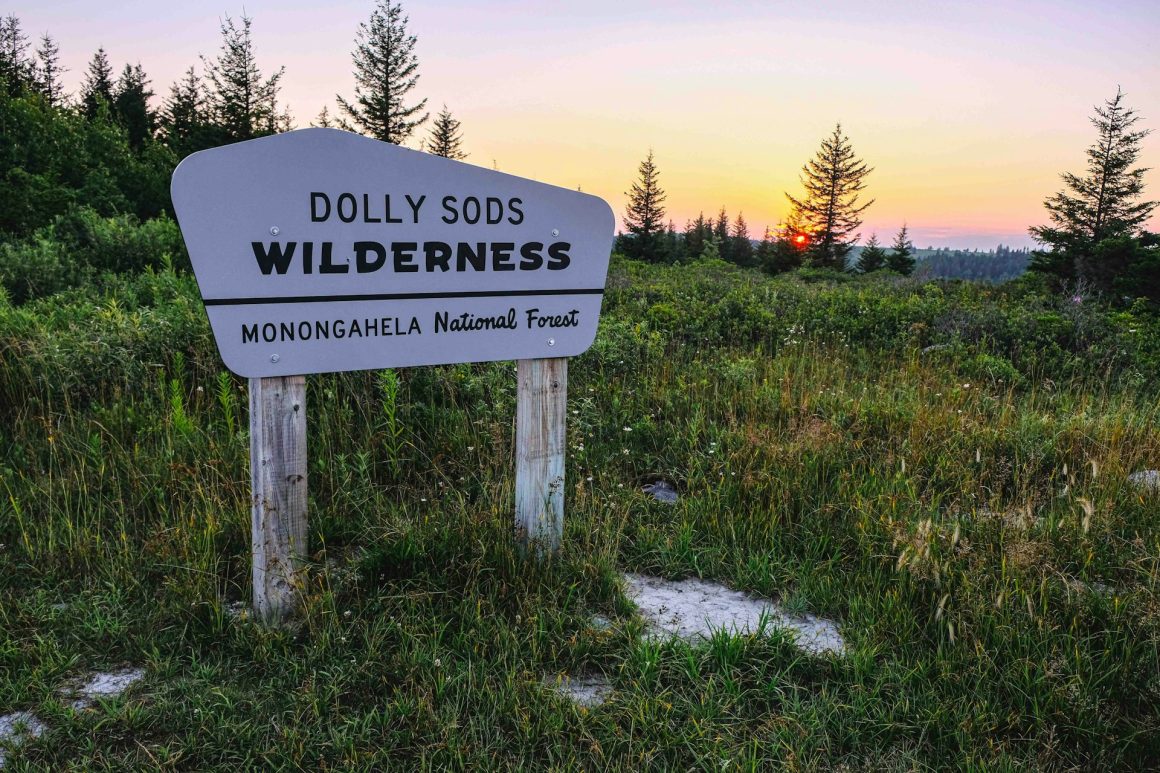 Dolly Sods Wilderness