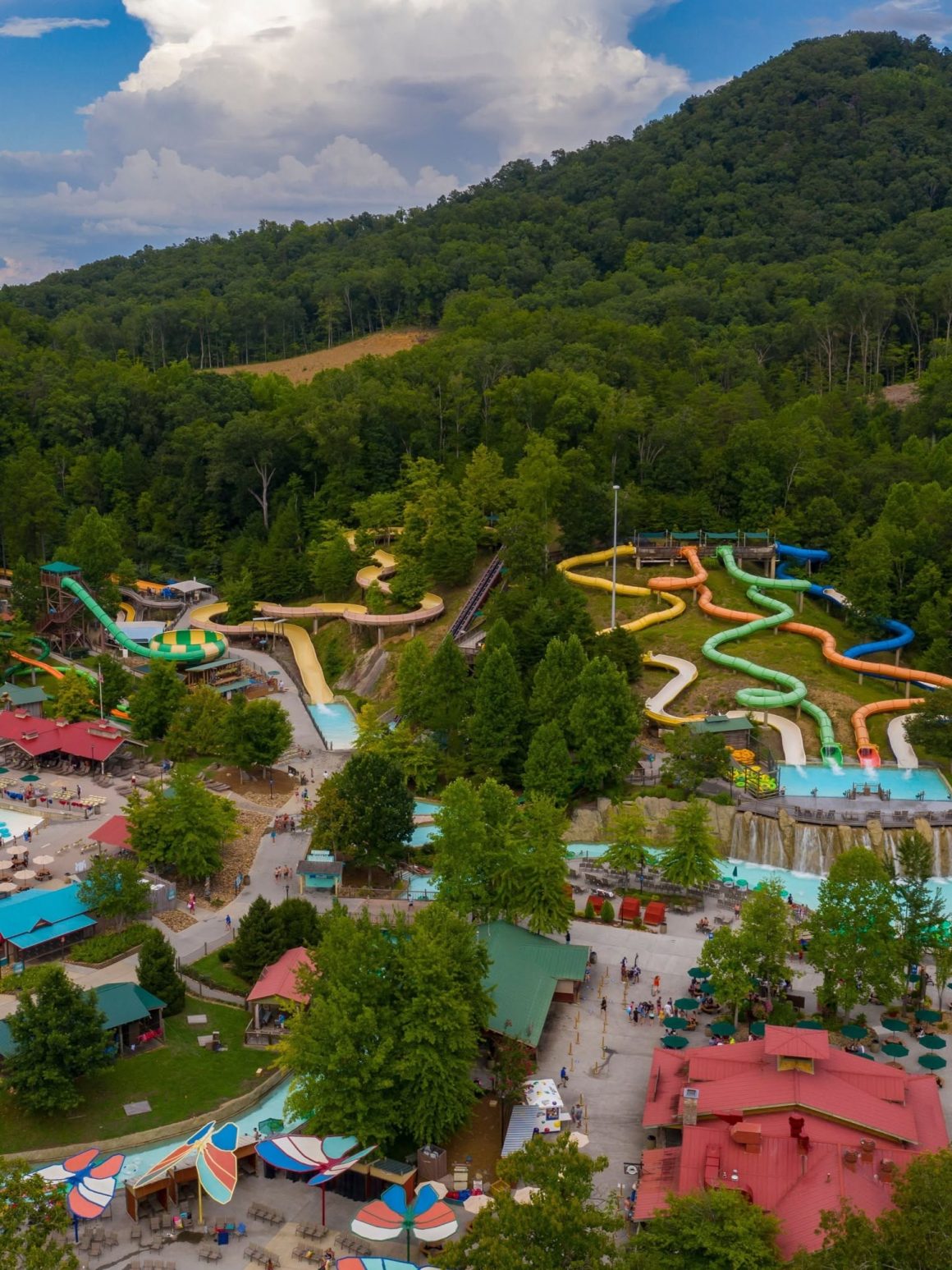 Dollywood﻿
