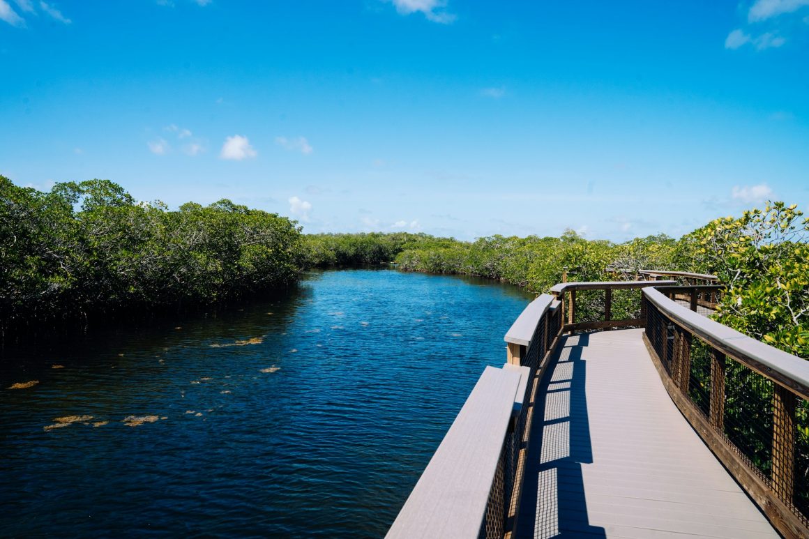 Everglades National Park