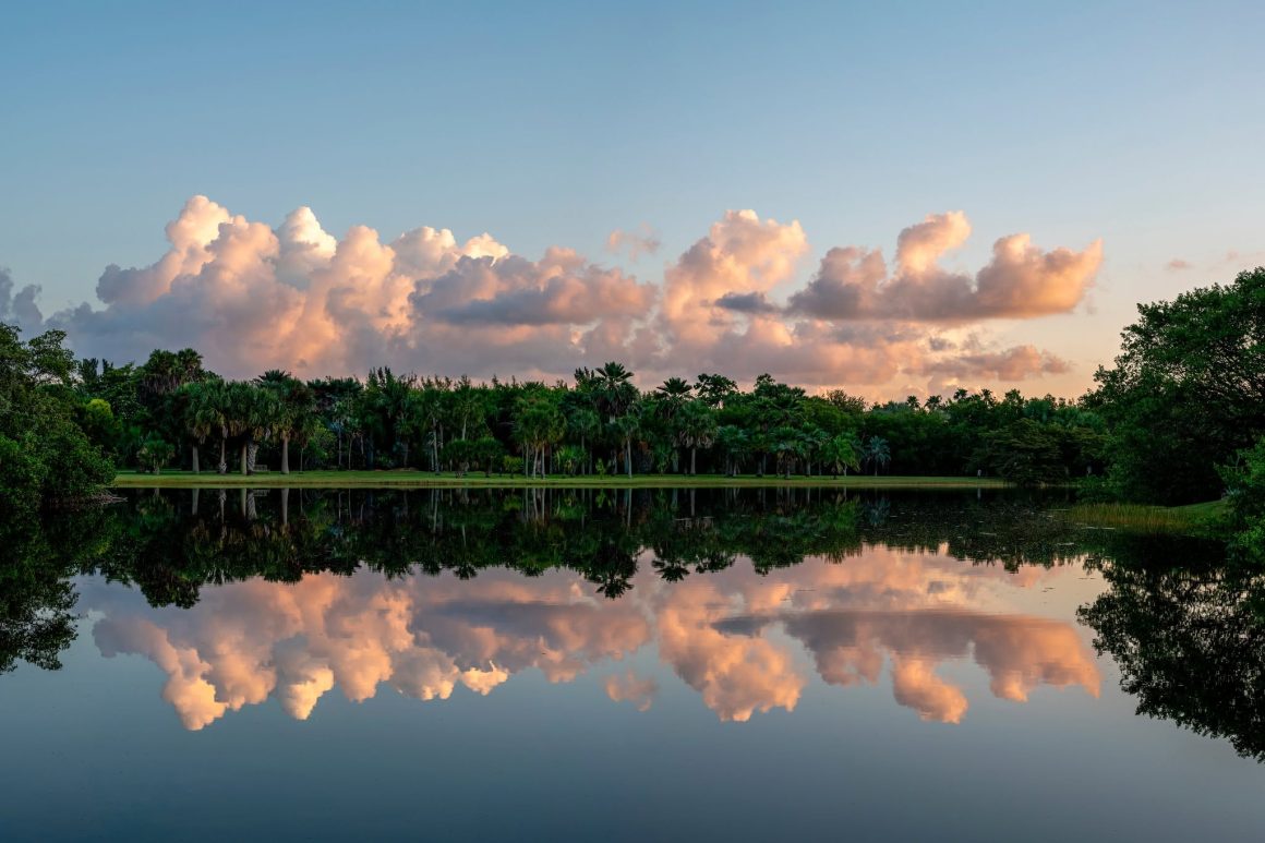 Fairchild Tropical Botanic Garden