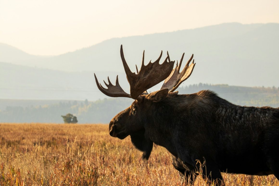 Grand Teton National Park