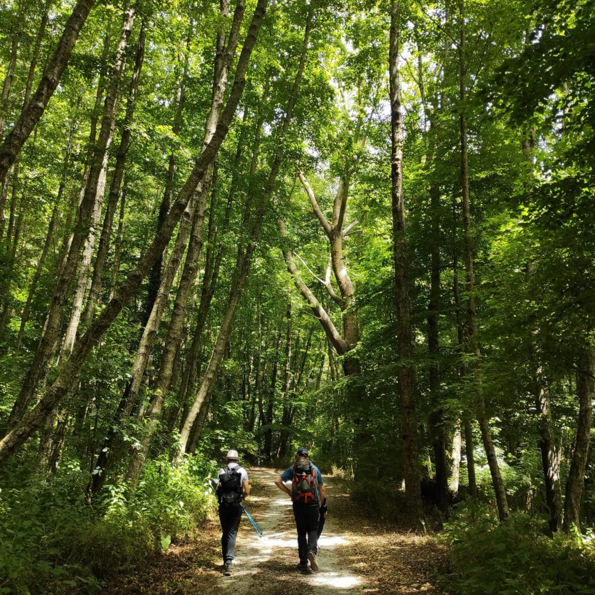 Matthiessen State Park