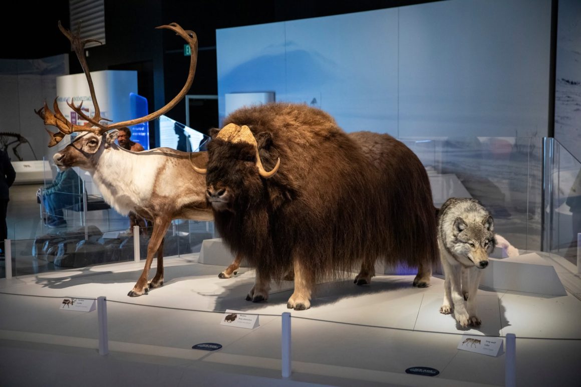 Natural History Museum of Utah