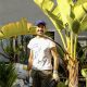 Nuno Prates, the Lisbon Gardener