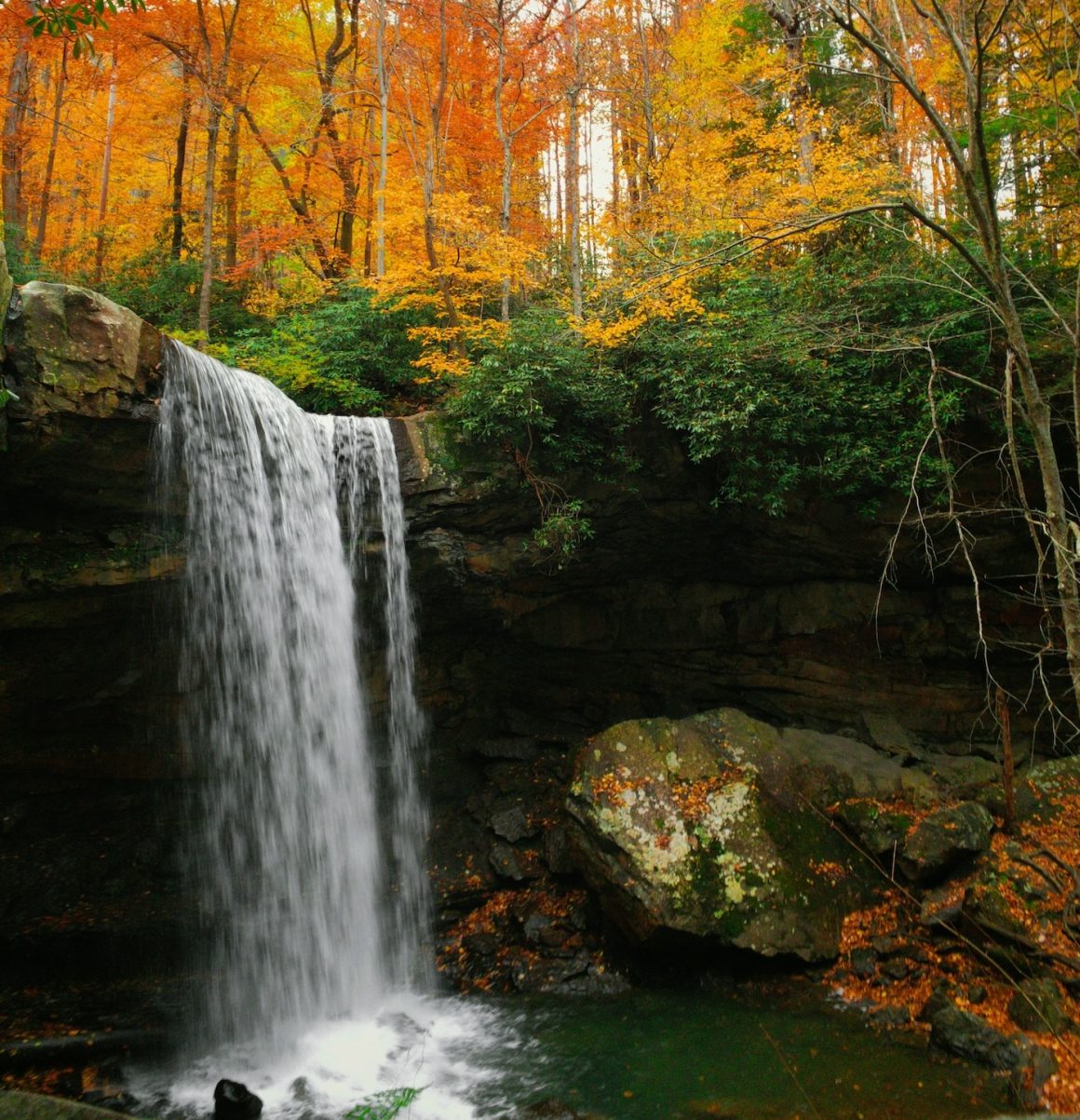 Ohiopyle State Park