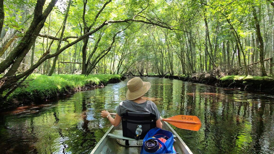 The Pine Barrens