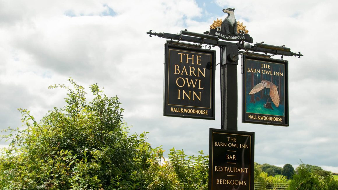 The Barn Owl