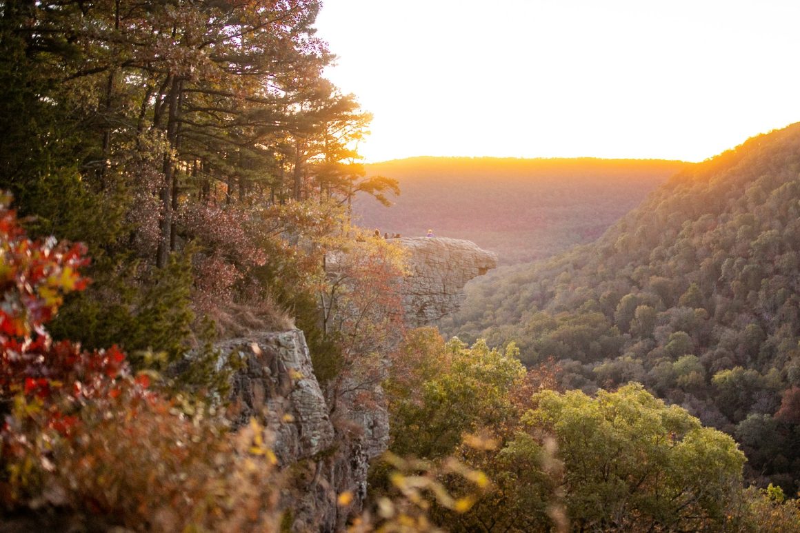 Whitaker Point