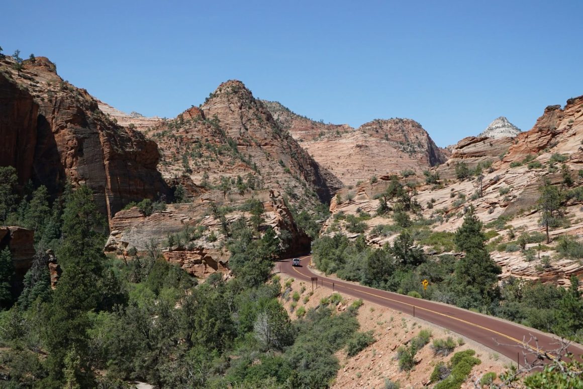 Zion National Park﻿