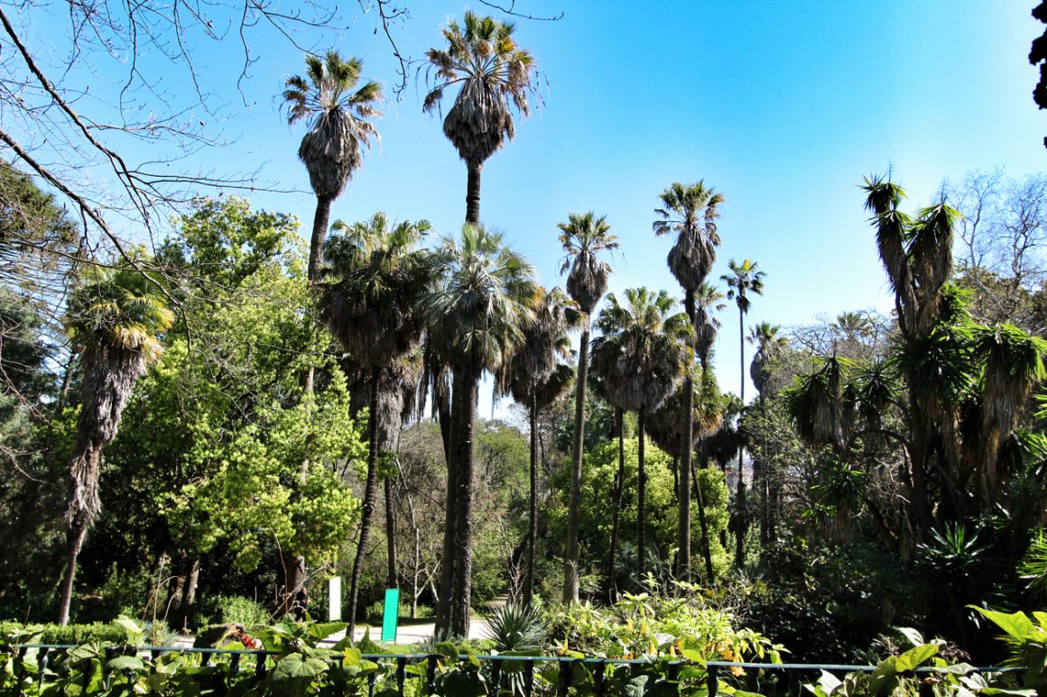 green gardens in Lisbon