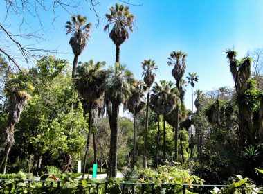 green gardens in Lisbon