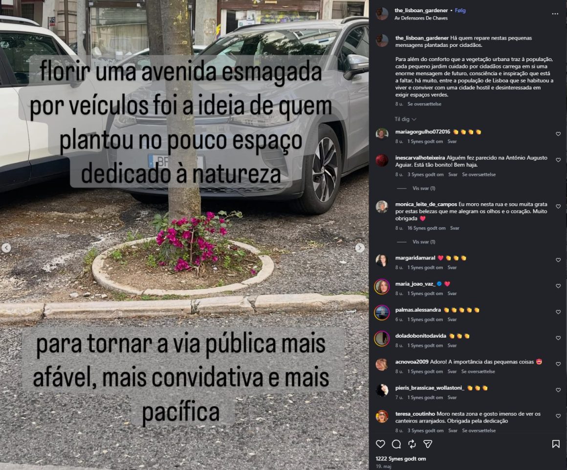 Making a boulevard that has been overwhelmed by vehicles bloom was the idea of someone who planted in the small space reserved for nature, making the public street friendlier, more welcoming, and more peaceful.