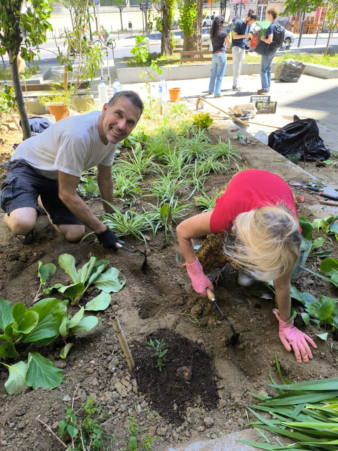 Nuno Prates, the Lisbon Gardener. Photo instagram.comthe_lisboan_gardener