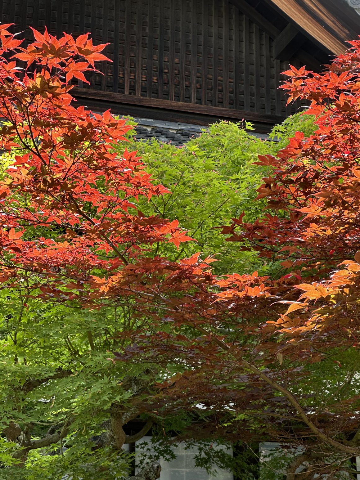 Guide to Japan