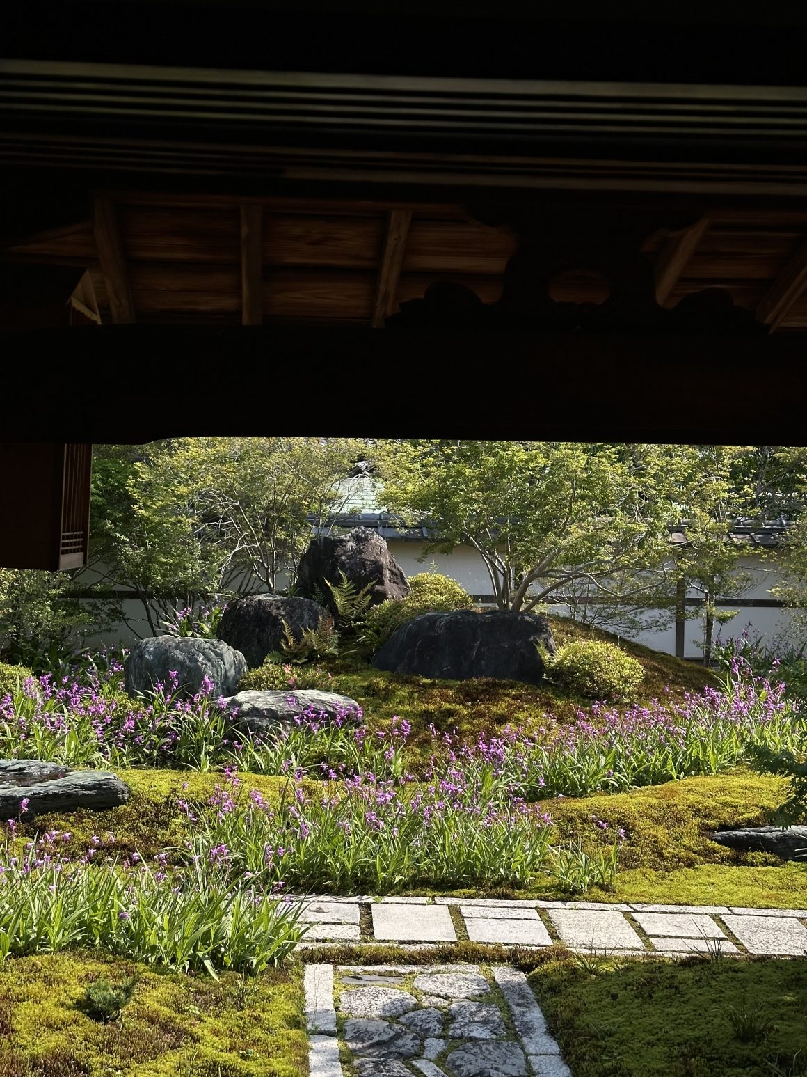 Peaceful Japanese temple garden with moss, stone paths, blooming irises, and ornamental rocks in Kyoto.