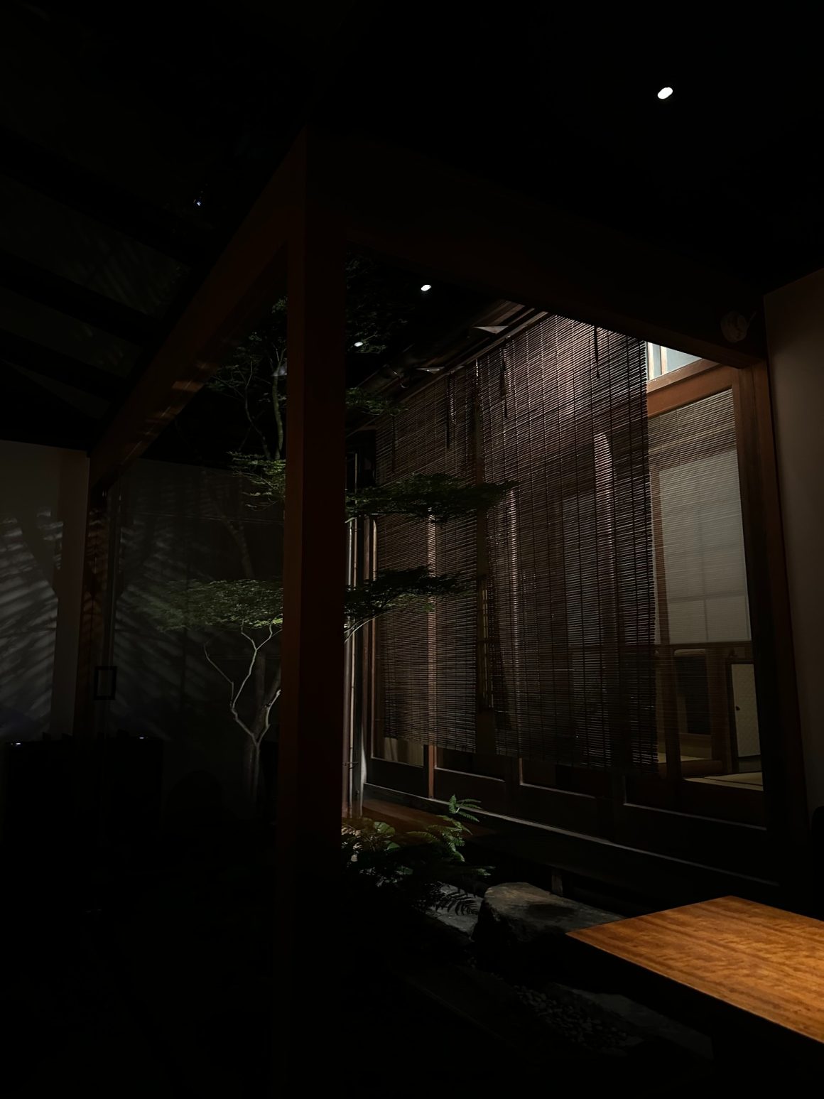 Quiet courtyard of a traditional Kyoto inn at night