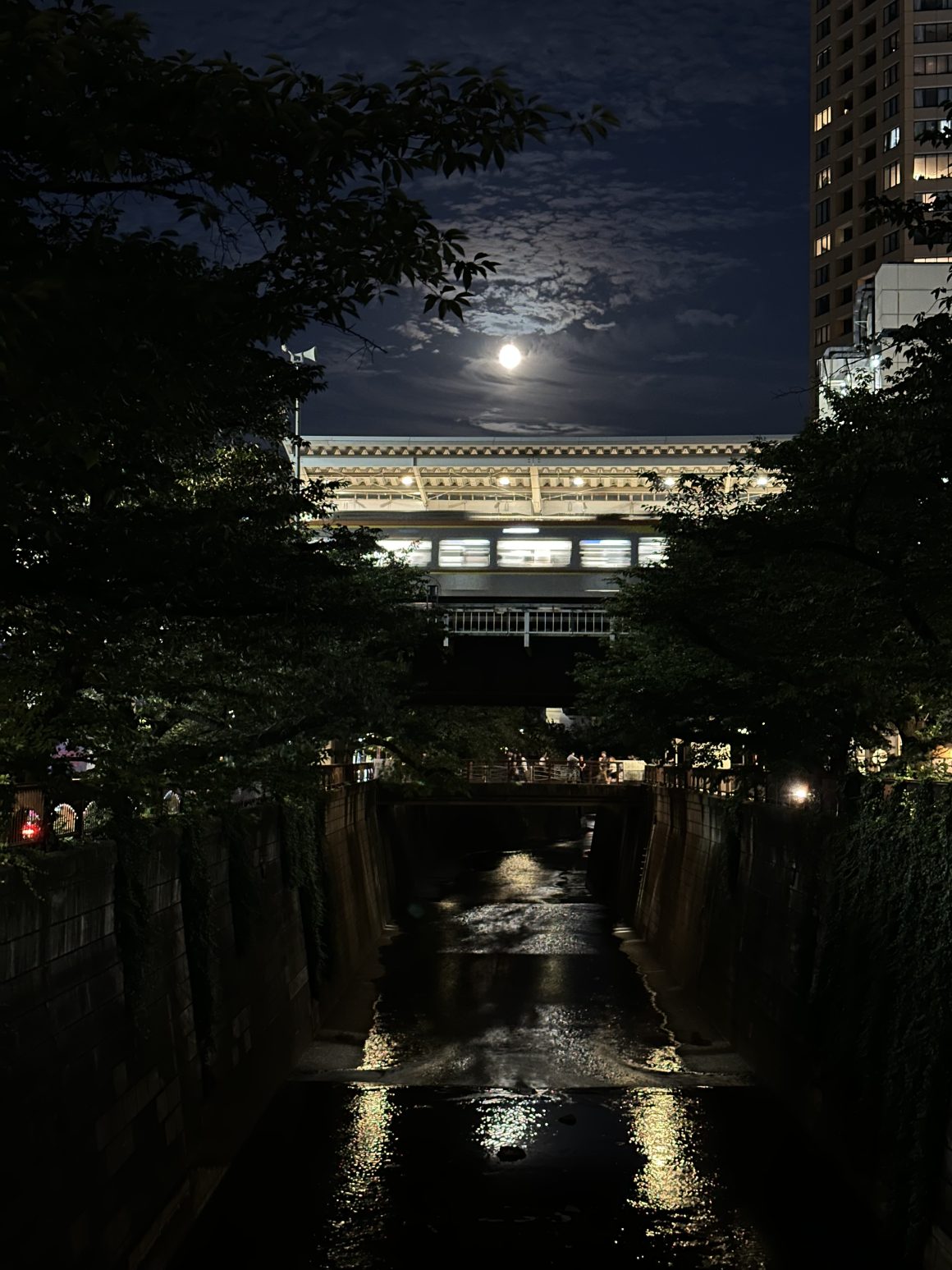 Night view of the Meguro River in Tokyo