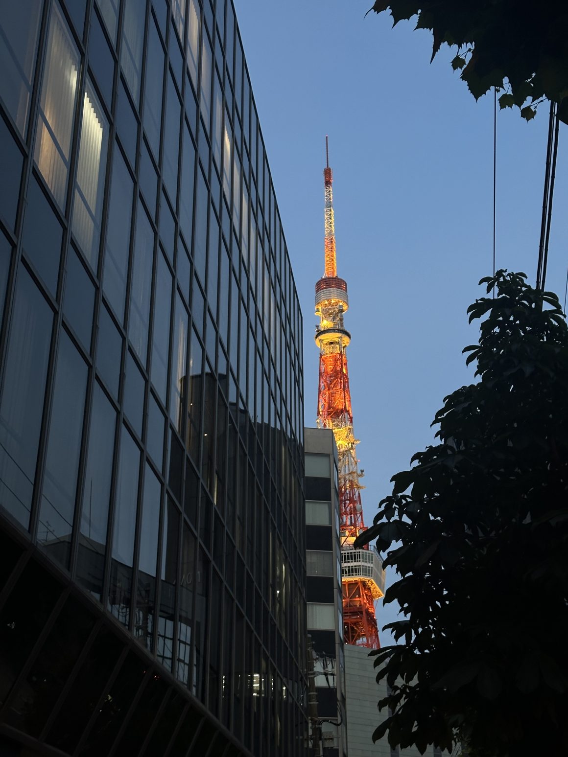 Tokyo Tower illuminated after sunset