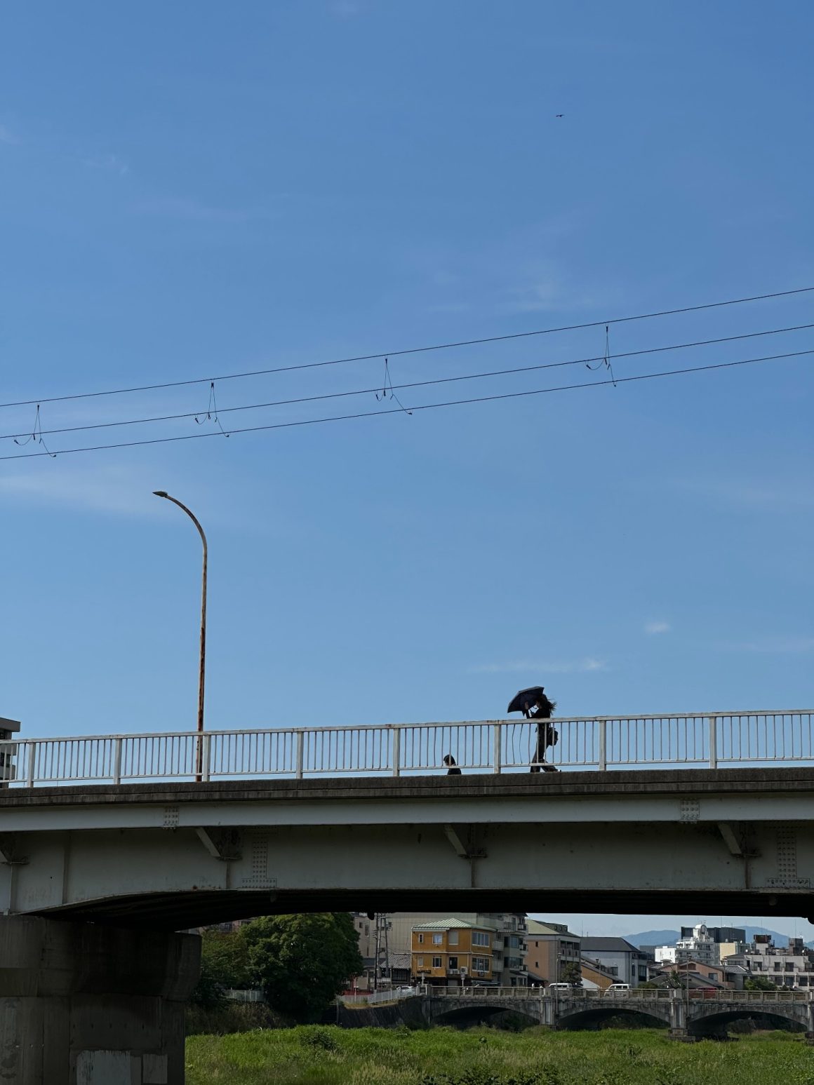Bridge crossing the Kamo River in central Kyoto