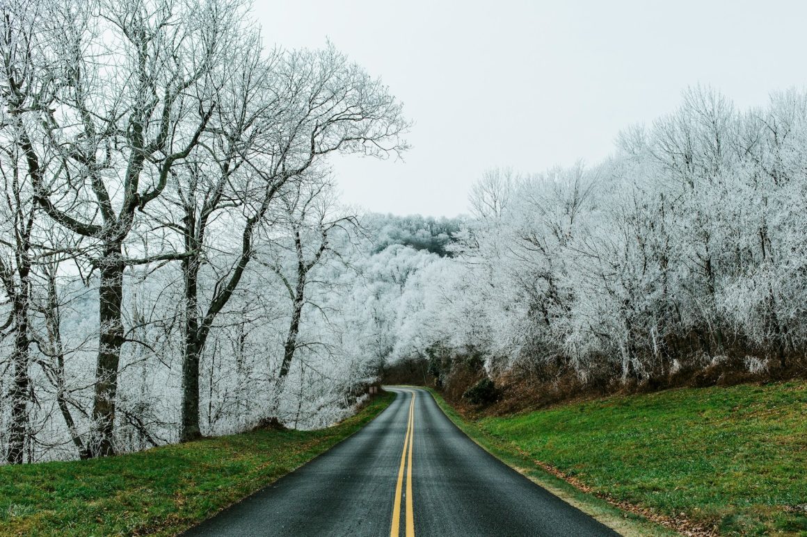 Photo by Wade Austin Ellis on Unsplash