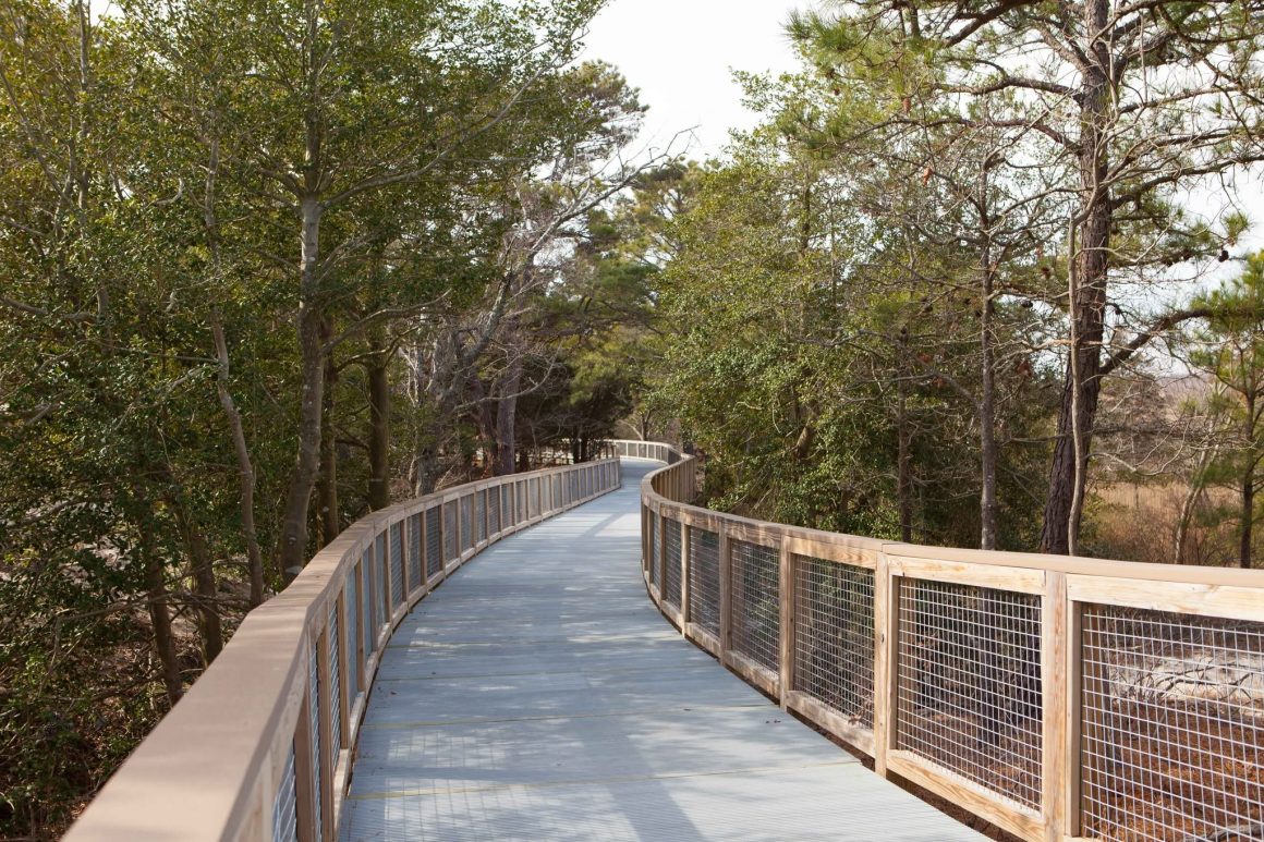Cape Henlopen State Park